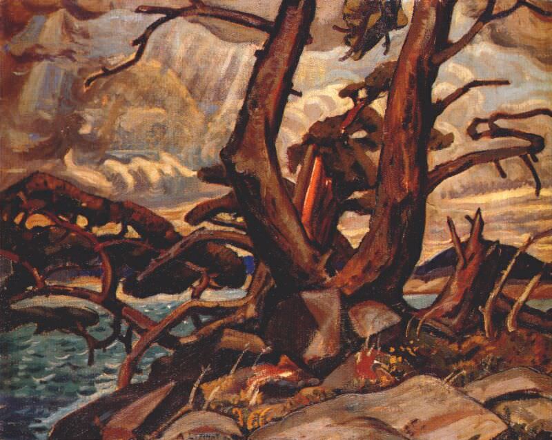 Старая сосна, залив Мак-Грегора, ок.1929. Артур Лизмер