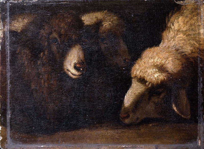 Sheep. Pieter van Bloemen
