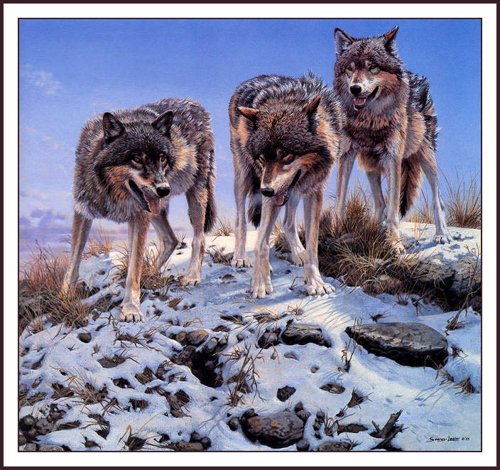 High Ground- Wolves. John Seerey Lester