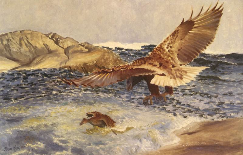 A Sea Eagle Chasing Eider Duck. Bruno Liljefors