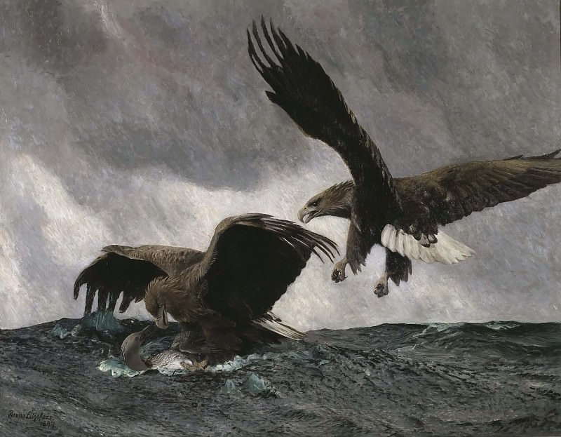 Sea Eagles. Bruno Liljefors