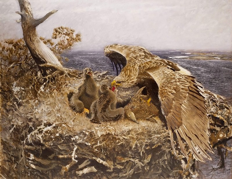 Sea Eagle’s Nest. Bruno Liljefors