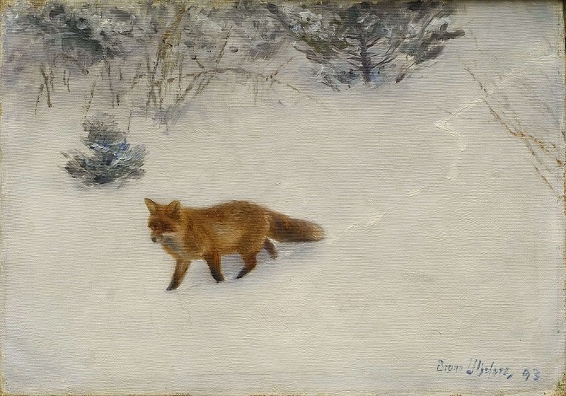 The Fox. Bruno Liljefors