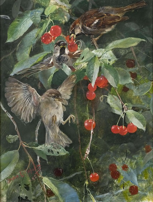 Sparrows in a Cherry Tree. Bruno Liljefors