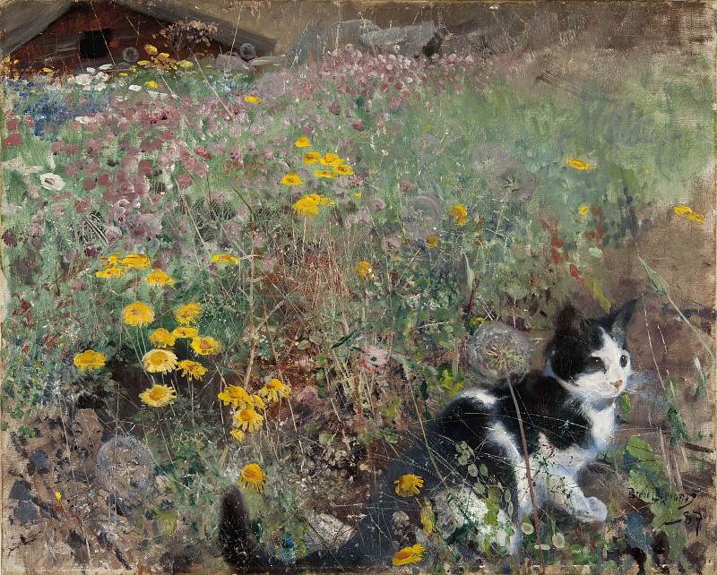 Cat on a flowery meadow. Bruno Liljefors