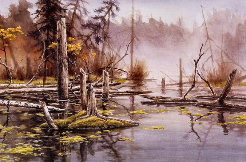 Wee Lee - Beaver Pond Near Madge Lake, De. Ли Ви