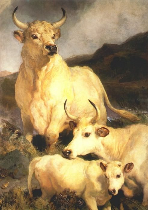 wild cattle of chillingham 1867. Sir Edwin Henry Landseer