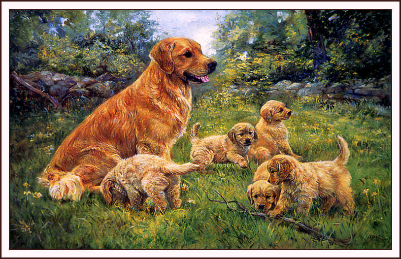 bs-na- Louise C Lopina- The Outing- Golden Retriever. Louise C Lopina