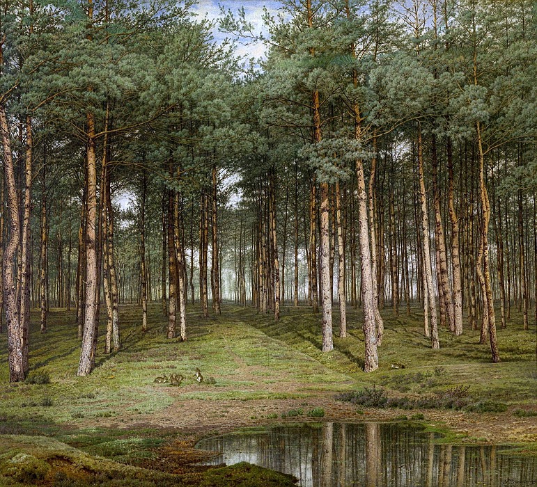 Fir Wood at Putte. Jean Pierre François Lamorinière