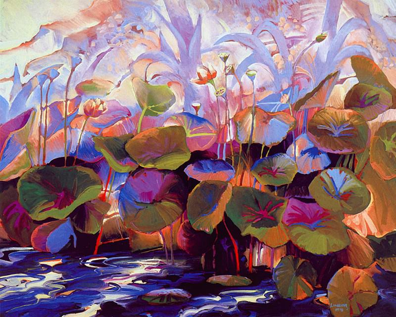 Lotus& Water Lil. Keith Lindberg