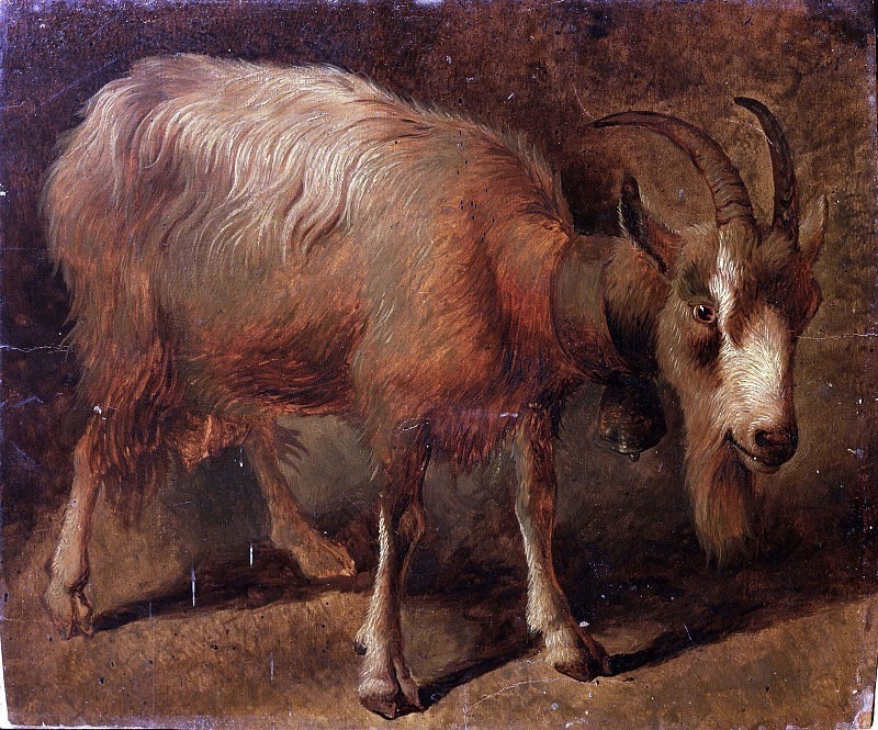 Goat. Francesco Londonio