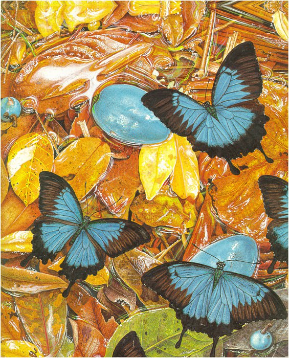 Полет бабочек. Карен Ллойд-Джонс