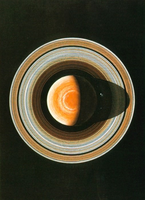 Saturn. Pamela Lee