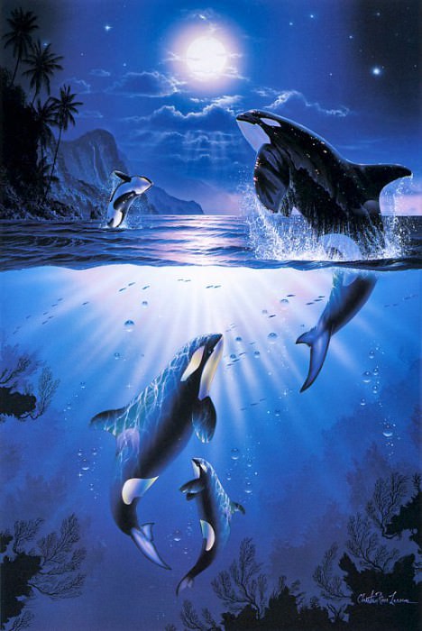 Mystic Orcas. Christian Riese Lassen