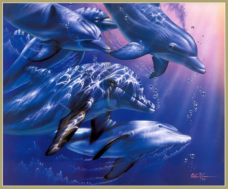 p-Christian Lassen Dolphin Quest IIXL. Кристиан Риес Лассен