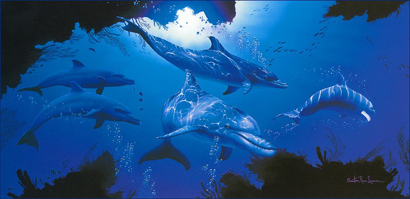 Five Dolphins. Christian Riese Lassen
