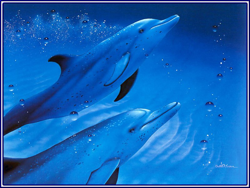 Dolphin Pair. Christian Riese Lassen