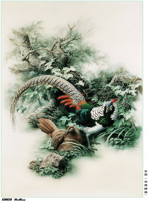 RedSnow CSCU Painting of ZengXiaoLian 26. Сяо Цзэн Лиан