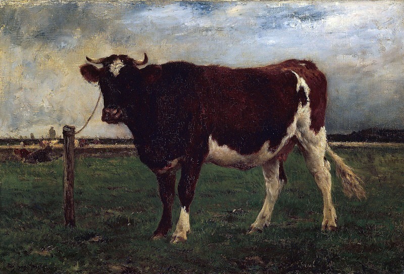 Study of a Cow. Emile van Marcke de Lummen