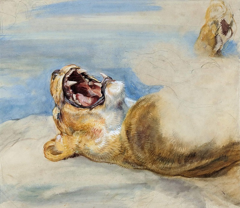 Study of a Lioness. John Frederick Lewis