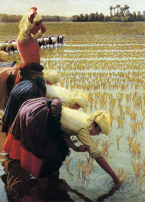 Итальянское рисовое поле, 1901. Ажело Морбелли