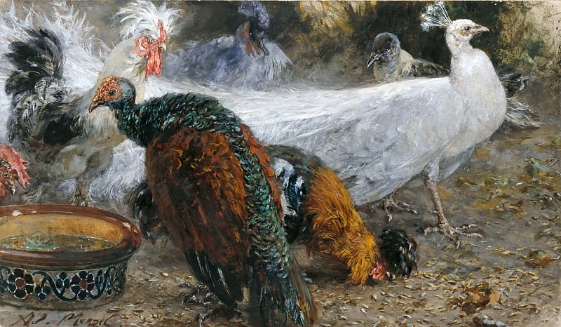 White Peacock amongst Turkeys and Chickens. Adolph von Menzel