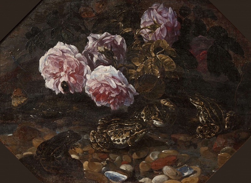 Frogs, Wild Roses, Shells and Butterflies. Paolo Porpora