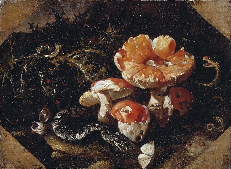 Still Life with Serpents, Fly Agarics and Thistles. Paolo Porpora