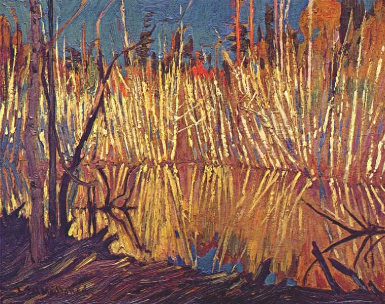 beaver dam and birches 1919. James Edward Hervey Macdonald
