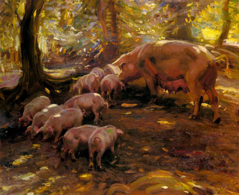 Pigs In A Wood Cornwall. Sir Alfred James Munnings