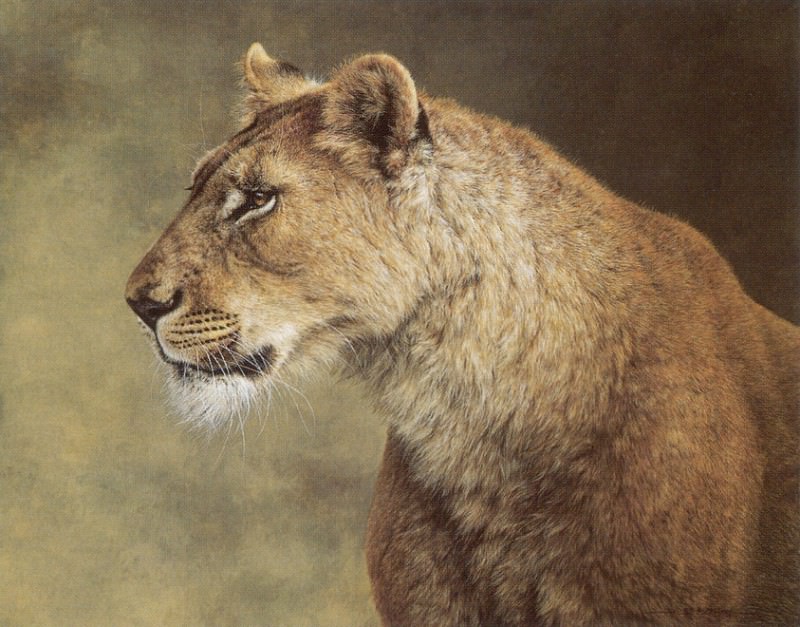 kb Mayol Jorge-Portrait of a Lioness. Хорхе Майоль