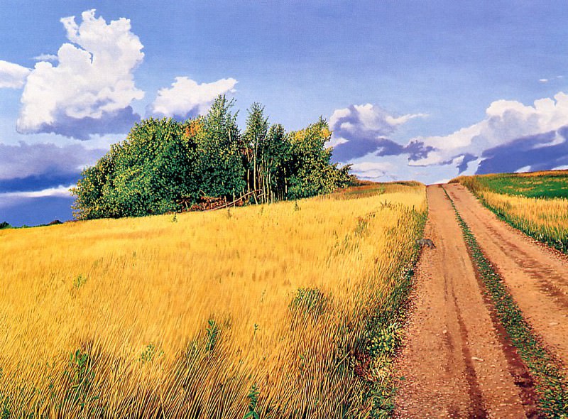 Dawn McCracken - Road in Gunters Field, De. рассвет Мак-Кракен