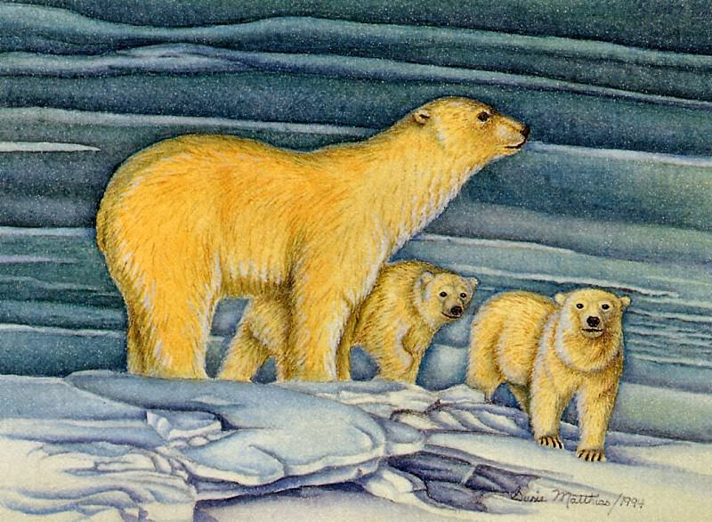 Susie Matthias - Ice Bear and Cubs (mouthpainted), De. Сьюзи Матиас