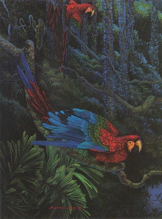 Shirley-Red and Green Macaw. Shirley Moore-Leago
