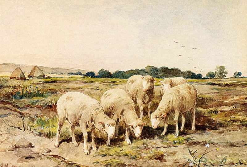 Grazing Sheep. Anton Mauve