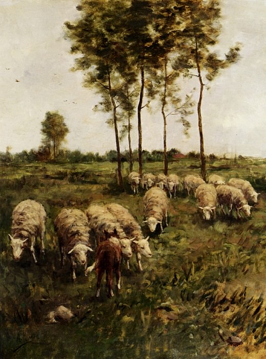 Присмотр за стадом овец. Антон Мауве