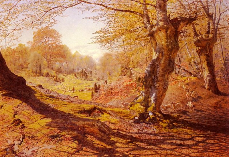 MacCallum Andrew Seasons In The Wood Spring. Andrew Maccallum