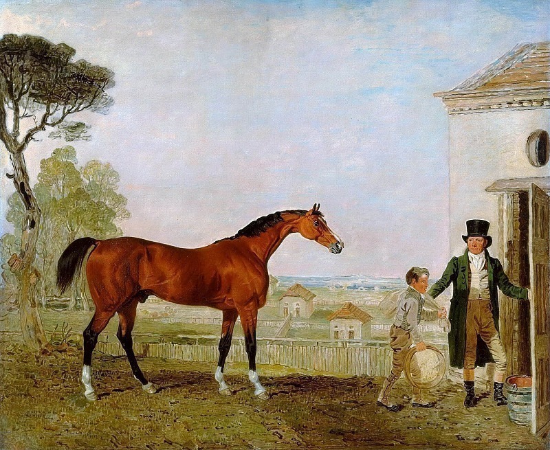 “Sultan” at the Marquess of Exeter’s Stud, Burghley House. Lambert Marshall