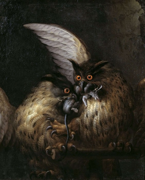 Две совы сражаются за крысу. Ханс Георг Мюллер