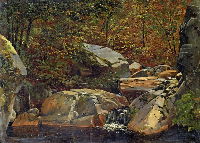 Forest stream. Carl Morgenstern
