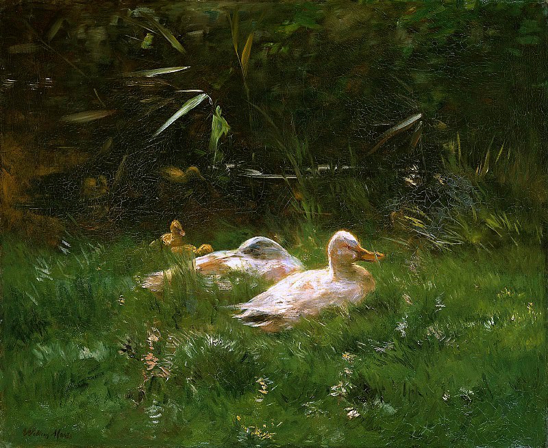 Ducks. Willem Maris