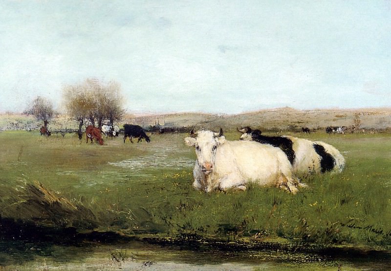Коровы на лугу. Виллем Марис