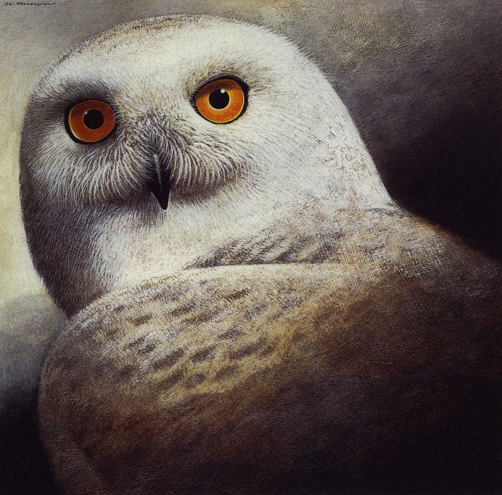 Snow Owl. Wendell Minor