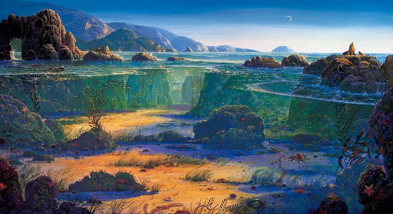 Pescadero Rock. John Mason