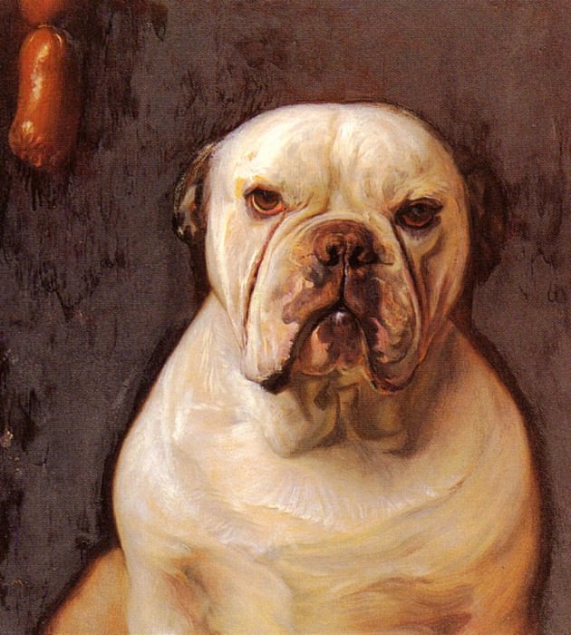 Matsch Franz von A Bulldog. Франц фон Мац