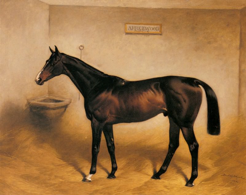 The Racehorse Abbeywood In A Stable. Basil Nightingale