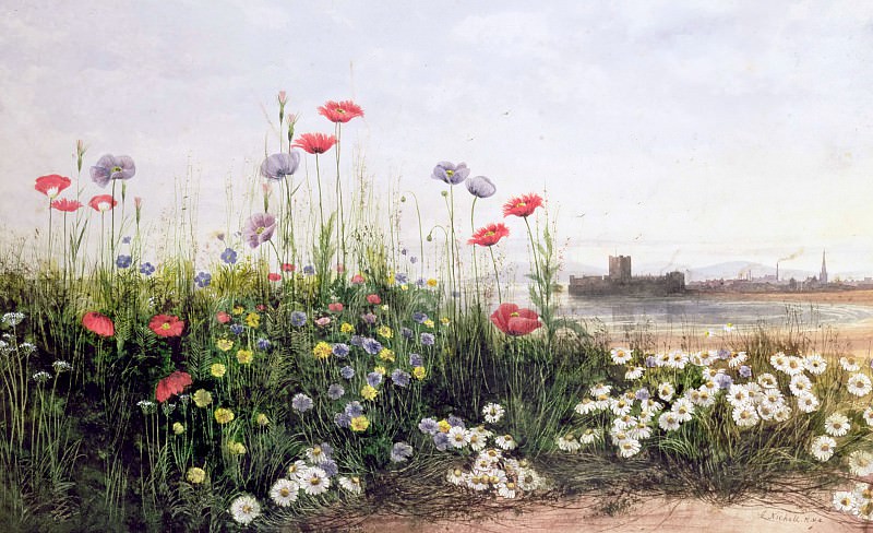 Bank of Summer Flowers. Andrew Nicholl