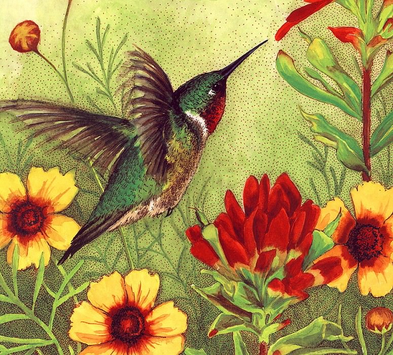 Hummingbird. Claudia Nice