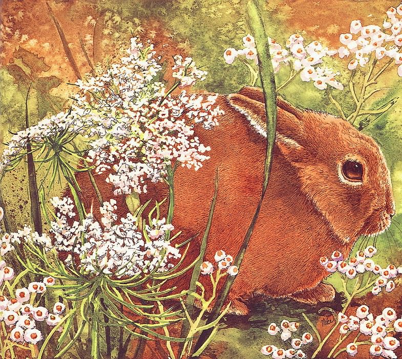 Кролик и цветочное кружево. Клаудия Ницца