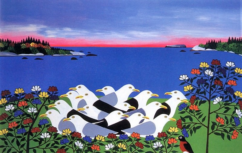 Seagulls at Sunset. Joe Norris